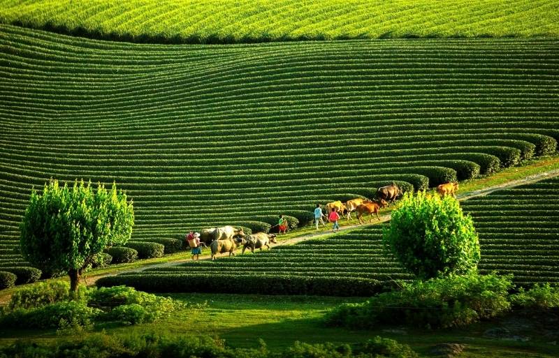 Cosa non fare in Vietnam: 20 errori da evitare nel 2026