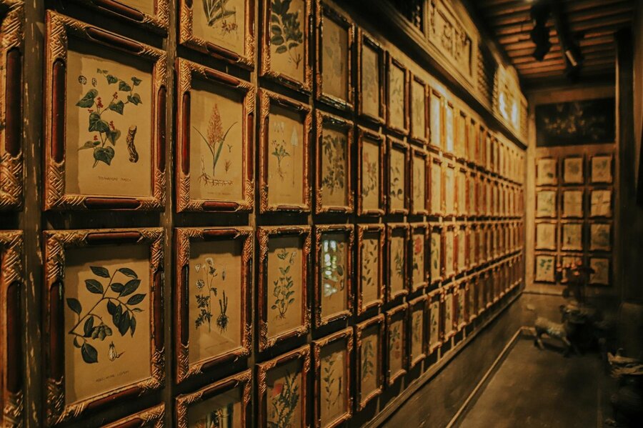 Museo FITO di Ho Chi Minh City: il patrimonio della medicina tradizionale vietnamita
