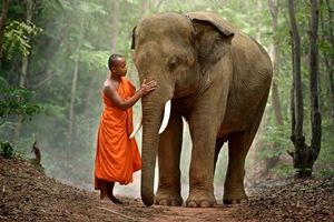 Quando Andare in Laos? Guida al Clima e alle Stagioni Migliori