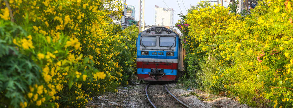 Vietnam in treno: Guida locale con consigli indispensabili