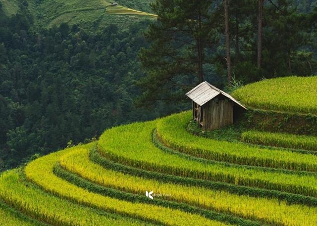 Cosa vedere nel Nord del Vietnam: I 10 posti migliori