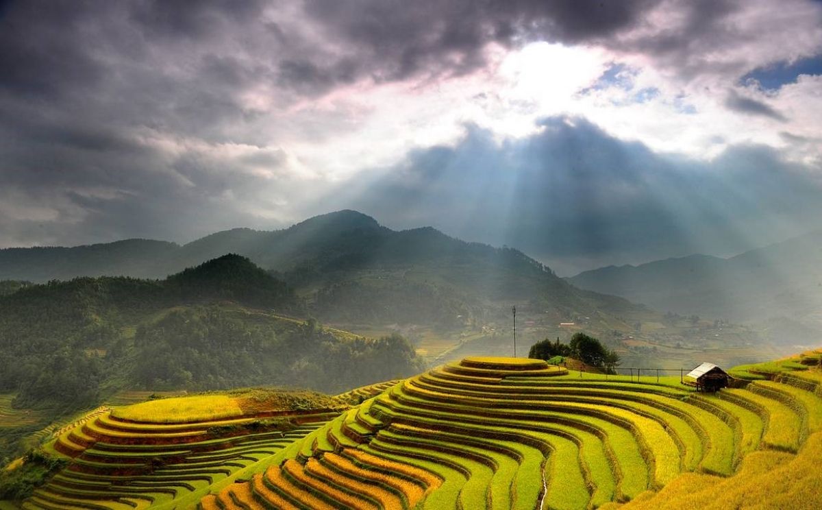 Thuoc Lao: LAntico Tabacco Vietnamita che ti Lascerà Senza Fiato