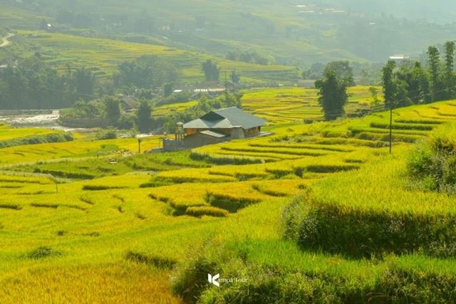 Clima in Vietnam 2025: Qual è il periodo migliore per viaggiare?