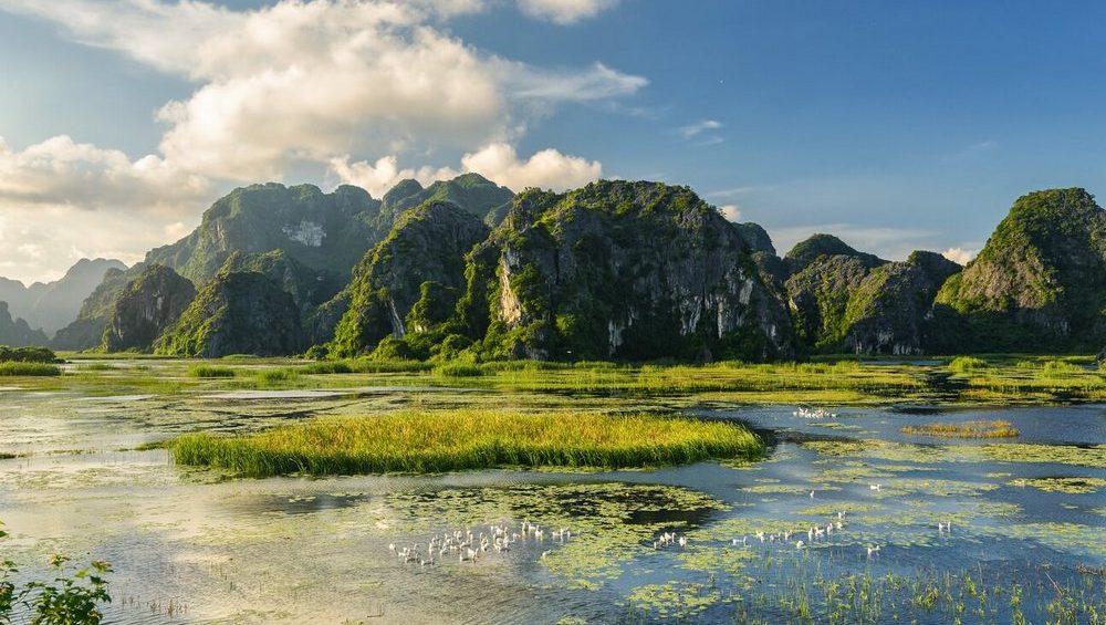Riserva Naturale di Van Long: gioiello di Ninh Binh