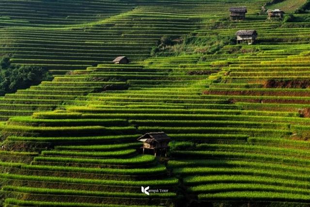 Mu Cang Chai decodificato 2025: guida completa per chi visita per la prima volta