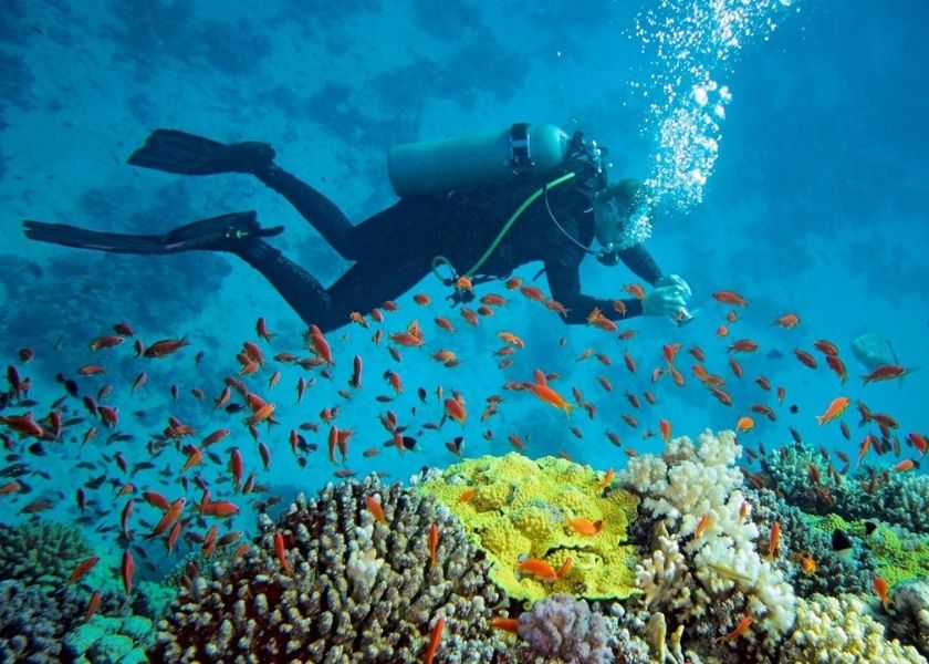 Snorkeling tra i coralli a Con Dao