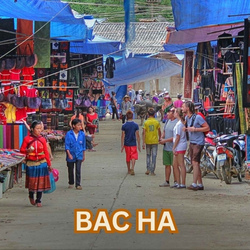 bac ha