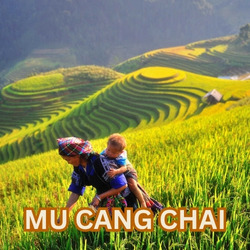 mu cang chai