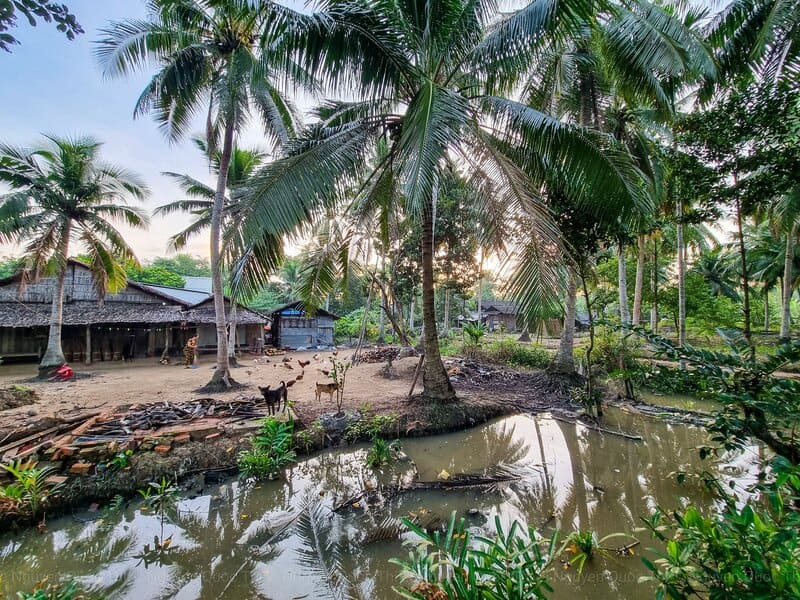 Porta il repellente nelle zone di montagna, rurali e in parte del Delta del Mekong