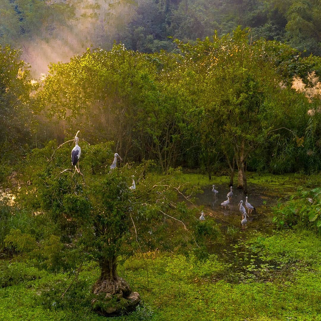 Parco Ornitologico di Thung Nham