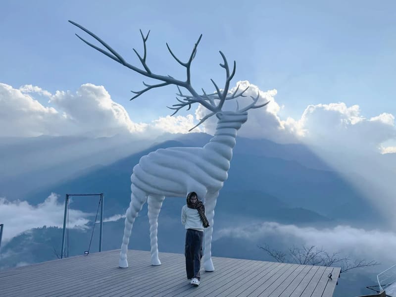 Cervo bianco moana sapa