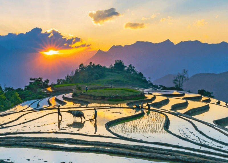 stagione di innaffiamento a Sapa