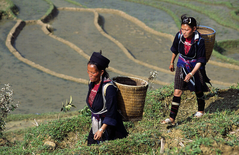 Black Hmong people in the water pouring season