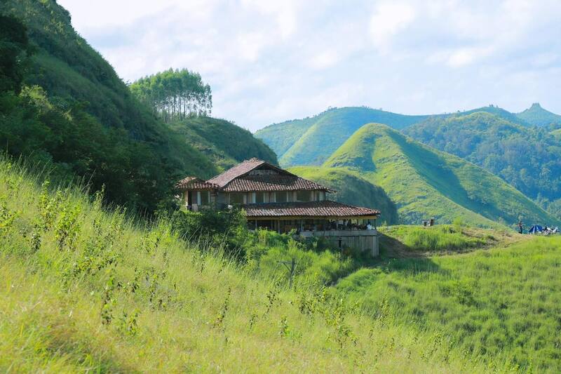 Stagione dell'erba verde Ba Quang