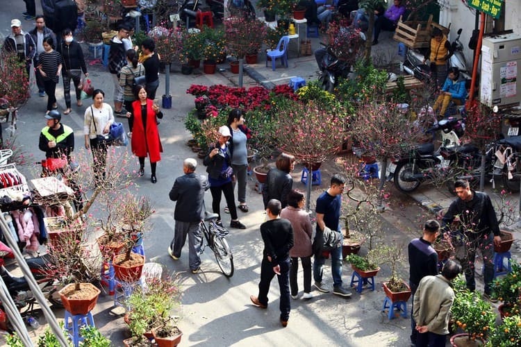 How do Vietnamese prepare for Tet?