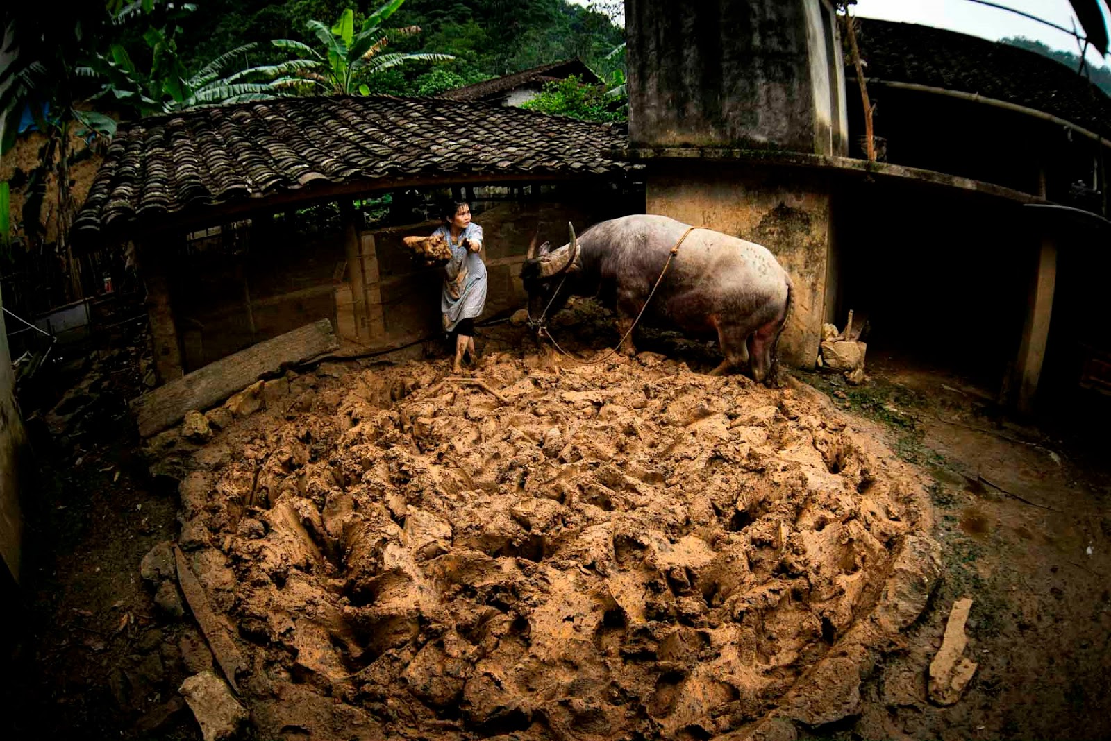 Village of yin-yang tile roof making