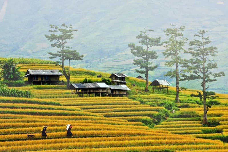Sapa Vietnam