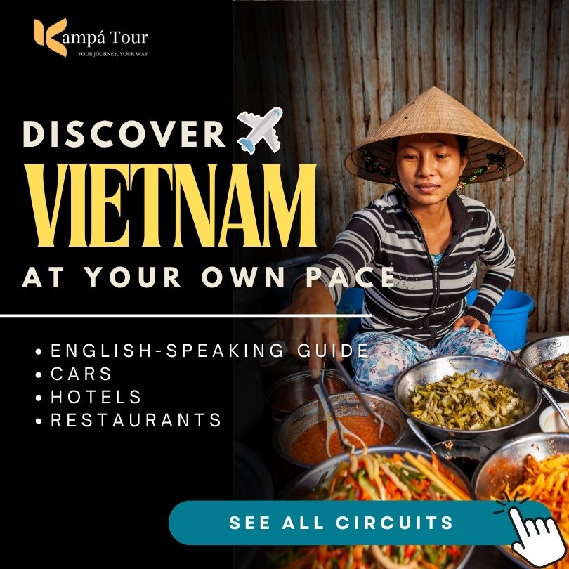 vietnam tours