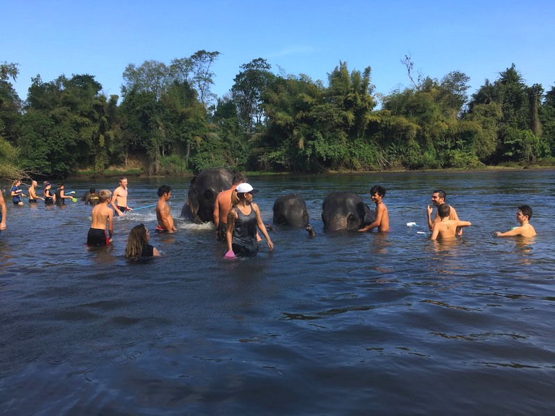 Turisti ed elefanti si divertono sul fiume Kwai