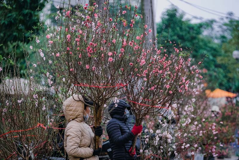 mercato dei fiori