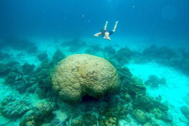 Immersioni a Koh Lanta