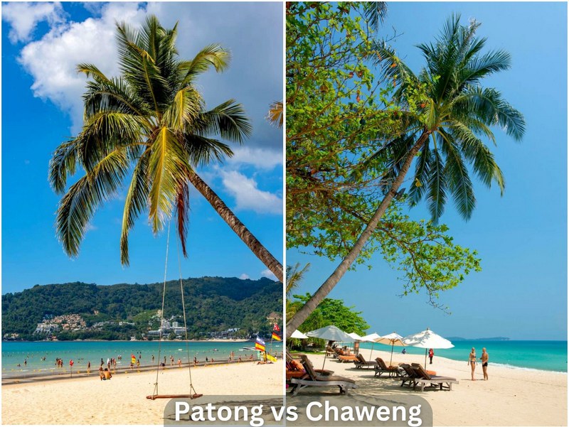 Confronto tra le zone vivaci di Patong e Chaweng