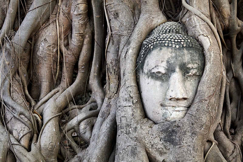 Wat Mahathat con la sua celebre statua del Buddha