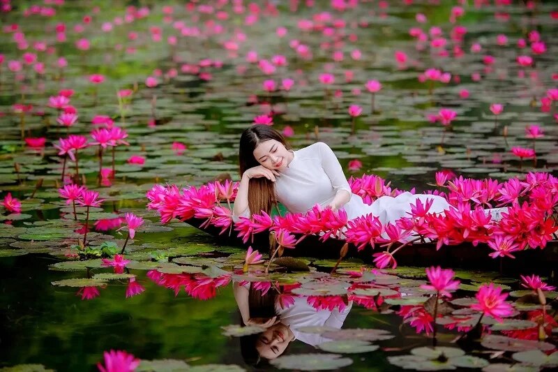 Thung Nang nella stagione della fioritura del loto