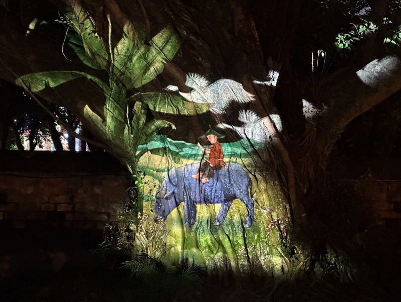 Immagini in colori vivaci