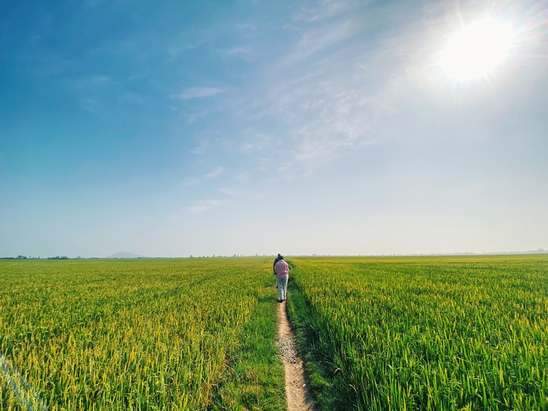 Costi viaggio Vietnam
