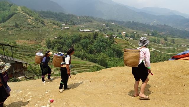 Trekking through the picturesque terraced fields of Pu Luong, a highlight of our Vietnamese adventure