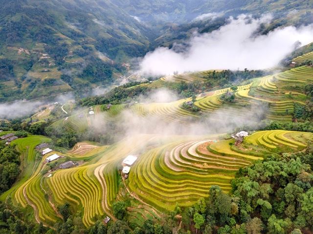 Hanoi – Hoang Su Phi
