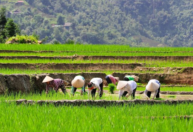 Bac Ha – Ha Giang 