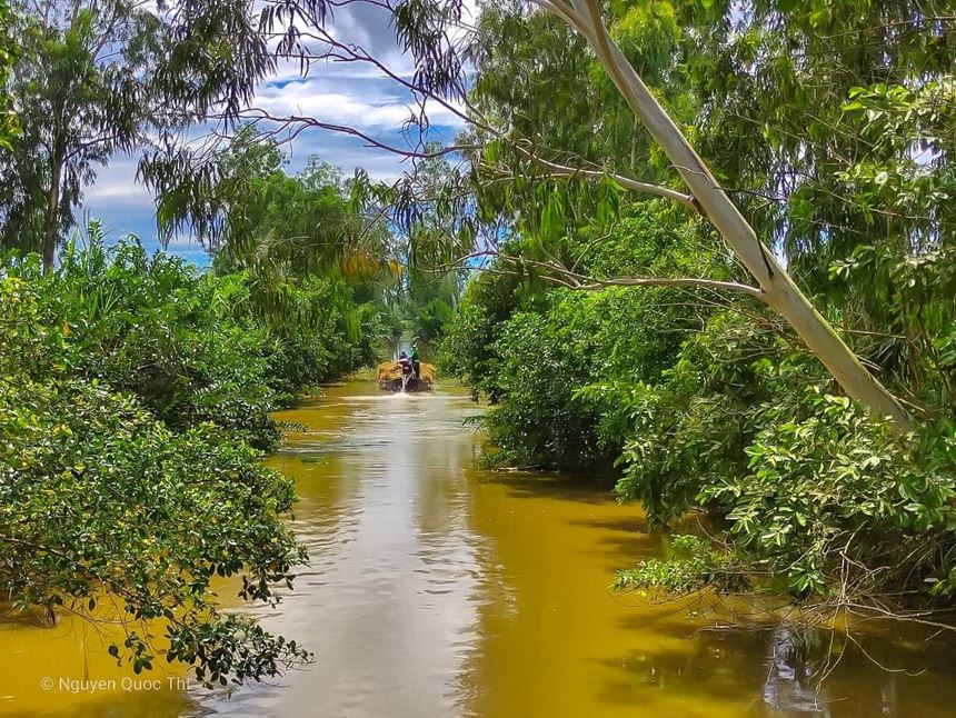 Mekong Deltas waterways weave a tapestry of rural charm