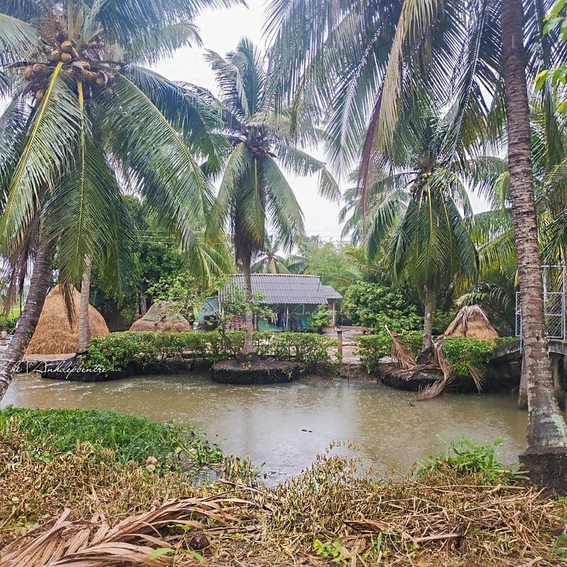 Tranquillità del Mekong e fascino fluviale di Ben Tre