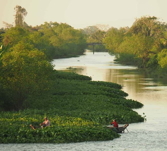 Delta Del Mekong - Ho Chi Minh (180 Km ≈ 3,5 Ore Percorso)