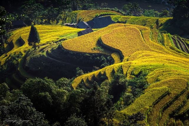 Trekking a Hoang Su Phi
