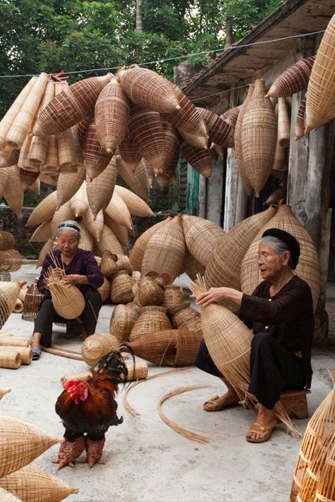 Patrimonio del Bambù