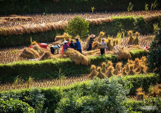 Trekking a Hoang Su Phi