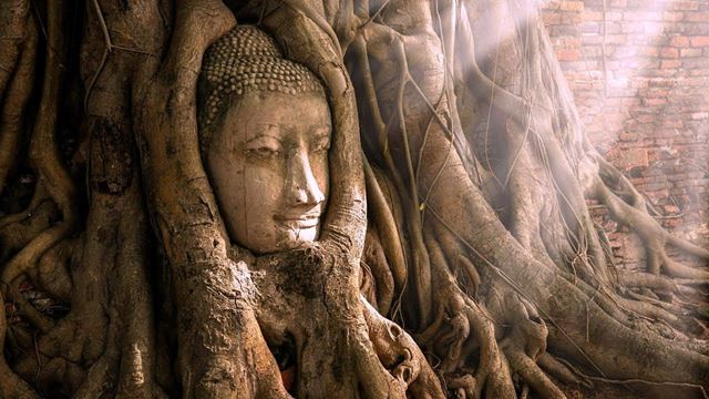 Ayutthaya – Parco Storico – Bang Pa-In – Bangkok – Volo per Chiang Rai
