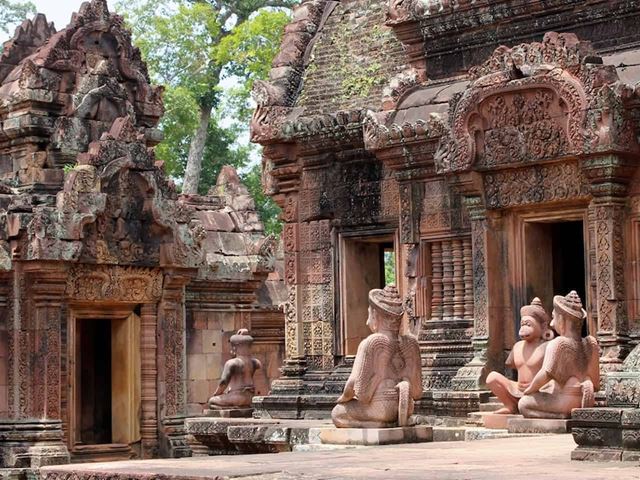 Siem Reap (Templi del Piccolo e del Grande Circuito)