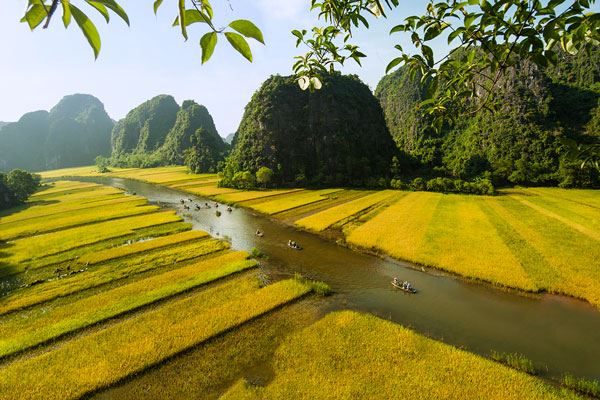 Viste maestose delle cime calcaree di Ninh Binh e delle vivaci risaie