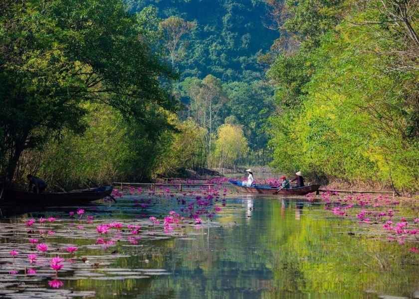 Vietnam Highlights - 10 giorni indimenticabili